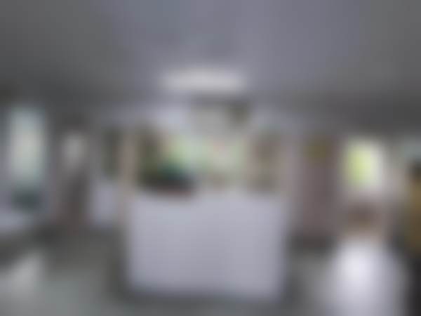 上海王道锦口腔诊所实例参考