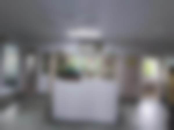 上海王道锦口腔诊所价格表（仅供参考）