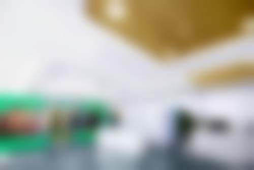 李智勇擅长项目列表