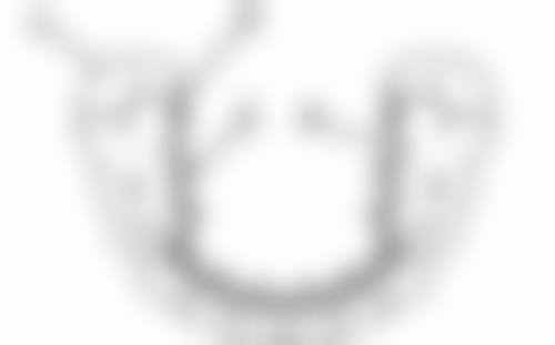 吴梦娟技术水平评价