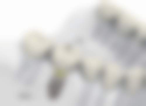 邱楚宸技术水平评价