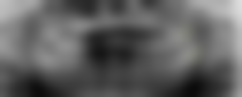 张甘乐擅长项目列表