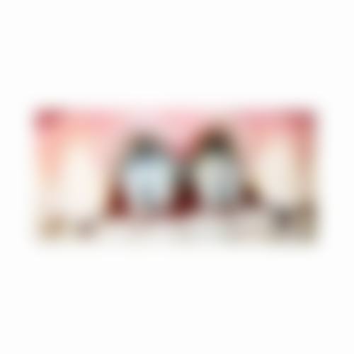 程锋擅长项目列表