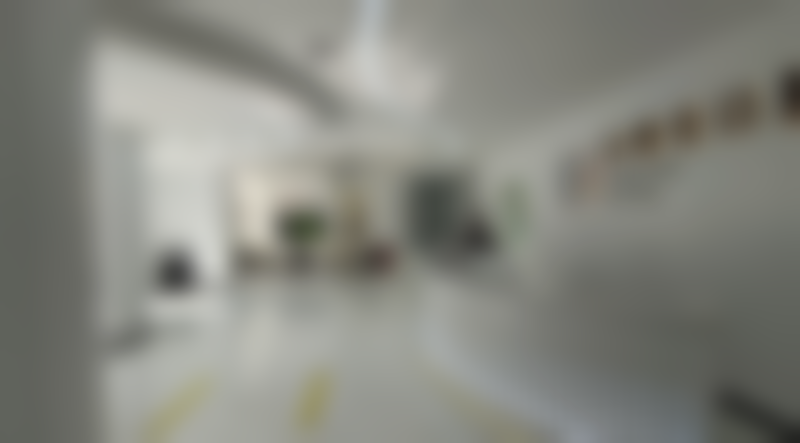 崔辽技术水平评价