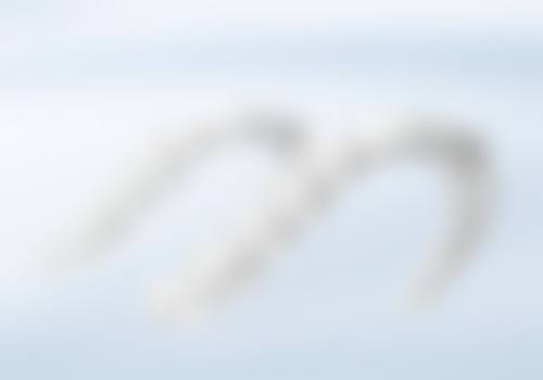 至尚口腔门诊部正规吗?看资质