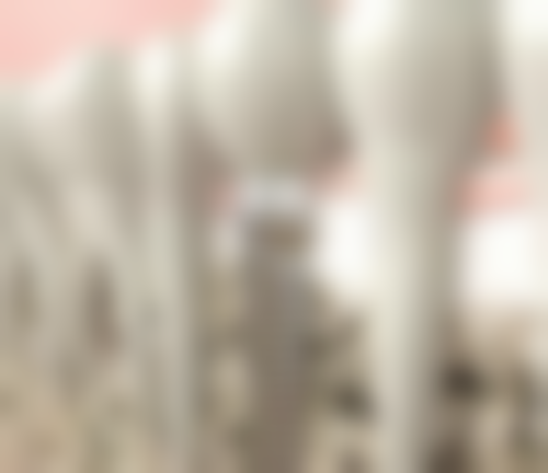 陶丽萍技术水平评价