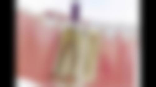 杨高强技术水平评价