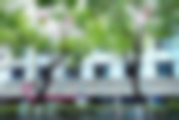 普洱博爱医院口腔科正规吗?看资质