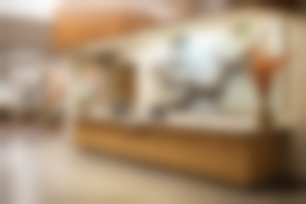 山东烟台天使口腔