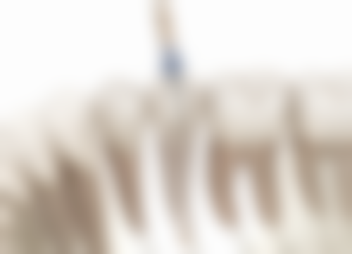 泰安杰瑞口腔怎么预约？