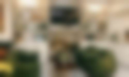 聂松淼资质与专精介绍