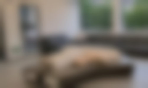 青岛博霖第二口腔门诊部医生团队