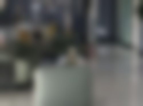 秦皇岛锐博口腔诊所核心项目