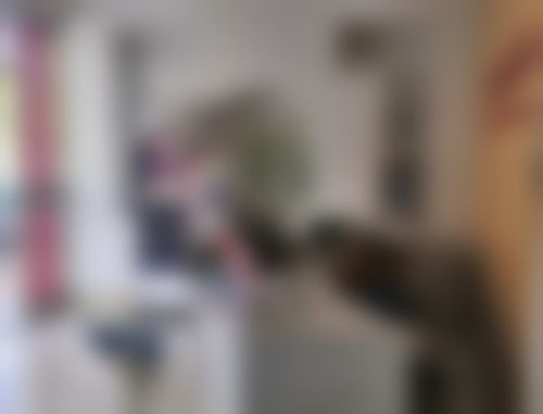 广东中山康皓口腔门诊部（石歧店）医生团队