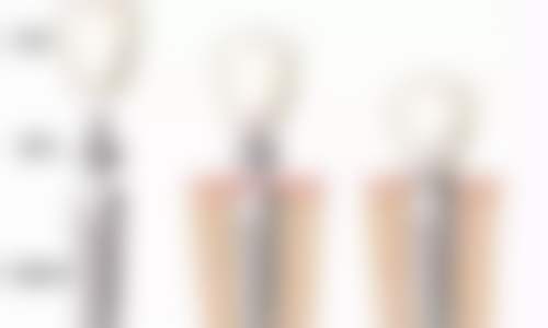 广东广州梅奥口腔医生团队