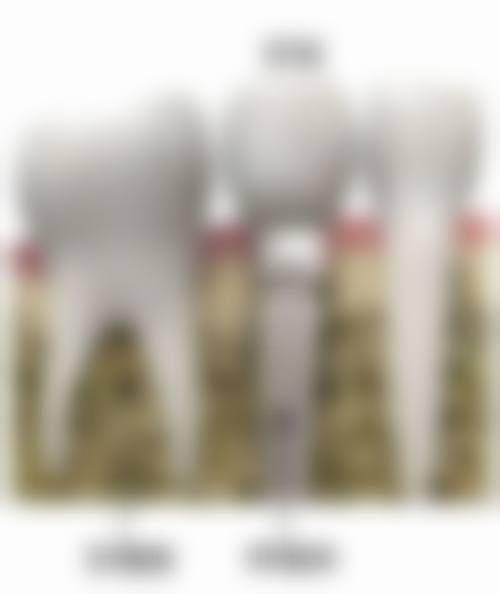 北京朝阳和风口腔交通攻略