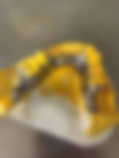 广东阳江许光明牙科诊所2026价格表参考