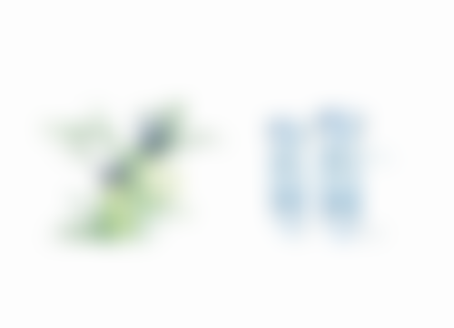 杨医生擅长项目列表