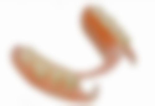 宣恩锦擅长项目列表