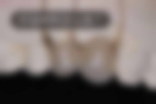 李克彪技术水平评价