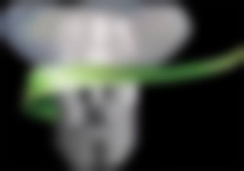 高磊技术水平评价