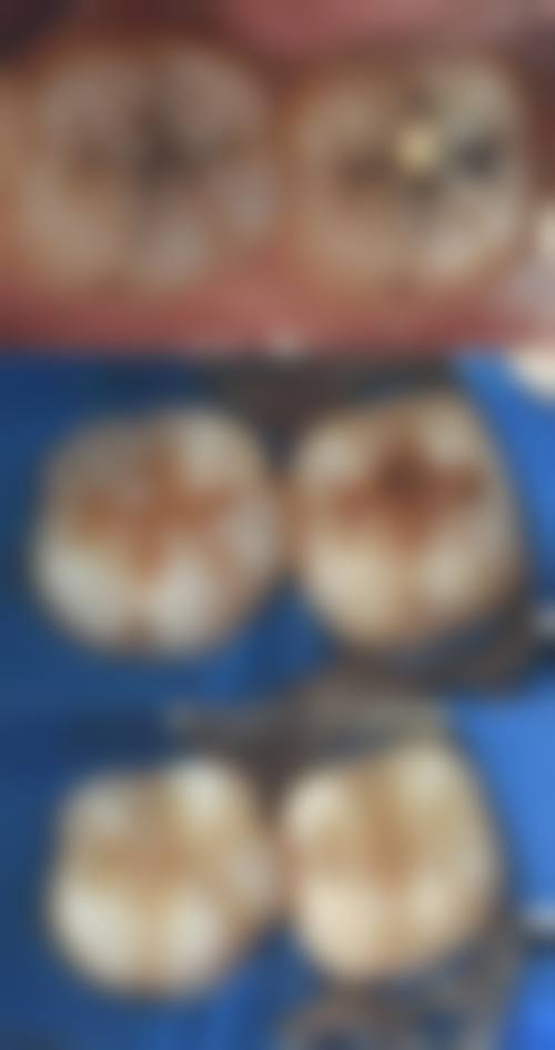 张杭预约方式及价格表