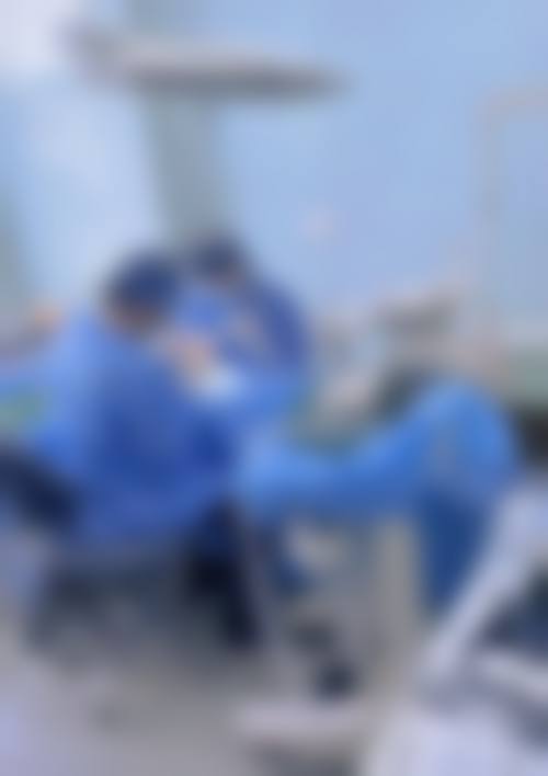 樊红梅擅长项目列表