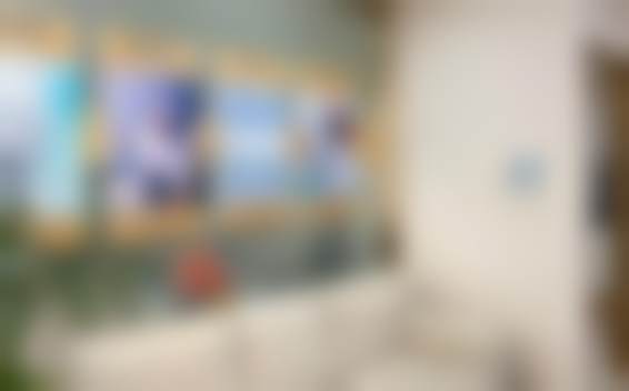 魏东擅长项目列表