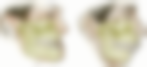 赵玉莹擅长项目列表