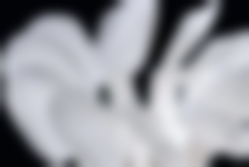 王仁义技术水平评价