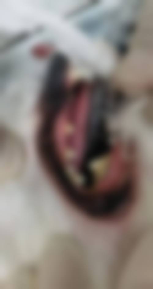 湖南常德印象口腔门诊部擅长项目有哪些？