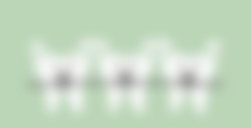 赵立新预约方式及价格表