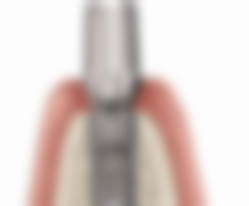 赵立新技术水平评价