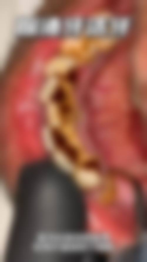 株洲天元艺美口腔诊所交通攻略