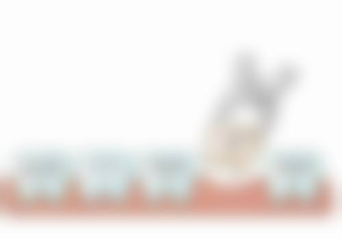 张杭预约方式及价格表