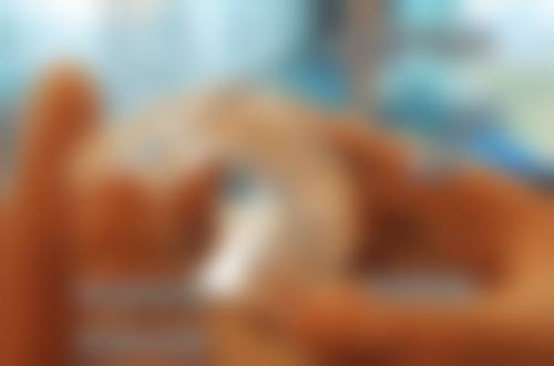 广东广州万博口腔交通攻略