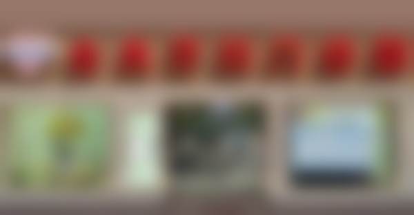 卢宇擅长项目列表