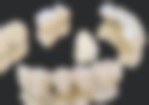 赵玉莹技术水平评价