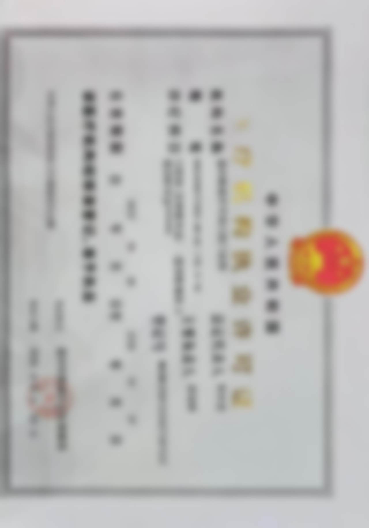 周瑞辉擅长项目列表