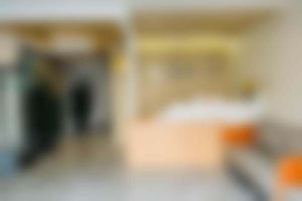 段宏宇技术水平评价