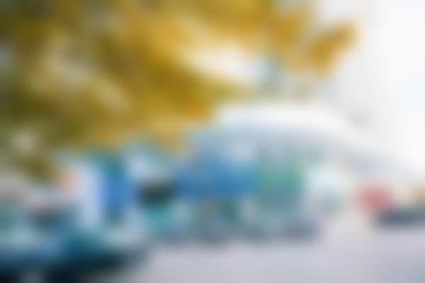 聂庆森擅长项目列表