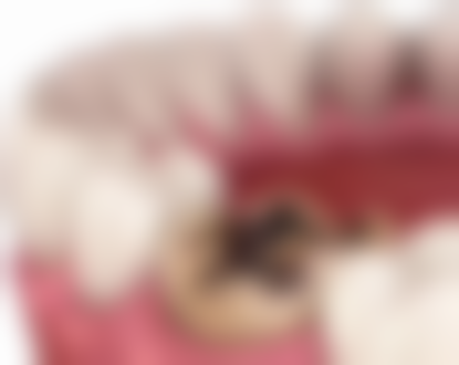 汪冠宏预约方式及价格表