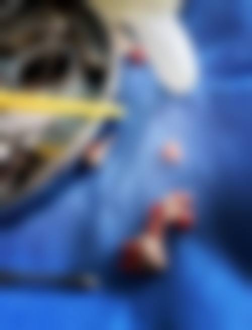 赵玉莹擅长项目列表