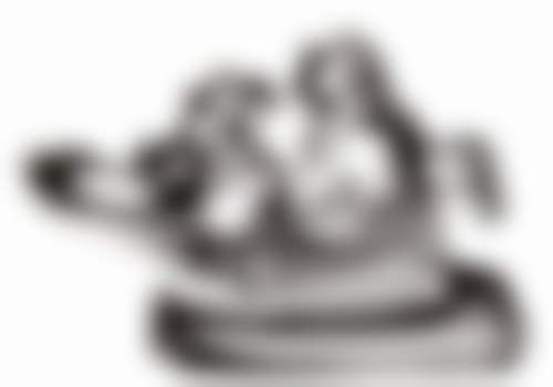 何玉凤患者评价