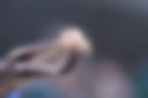 吉安仁心口腔交通路线