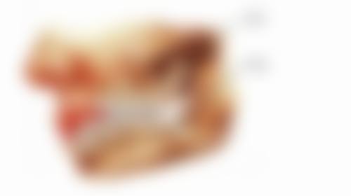 湖南怀化文力口腔交通路线
