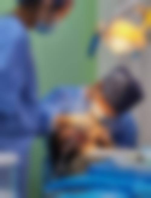 【齿邦永康口腔门诊部特色诊疗项目】
