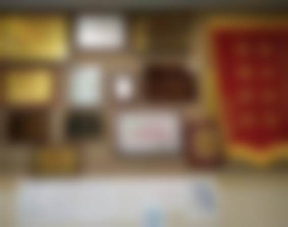 深圳爱康美口腔门诊部深圳爱康美口腔门诊荣誉