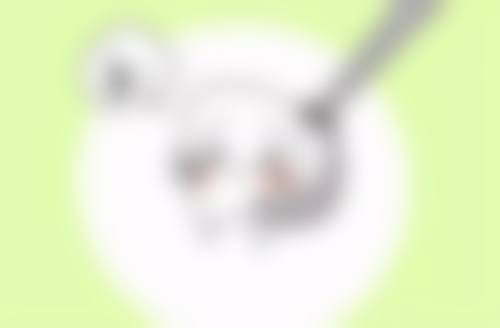 刘定斌擅长项目列表
