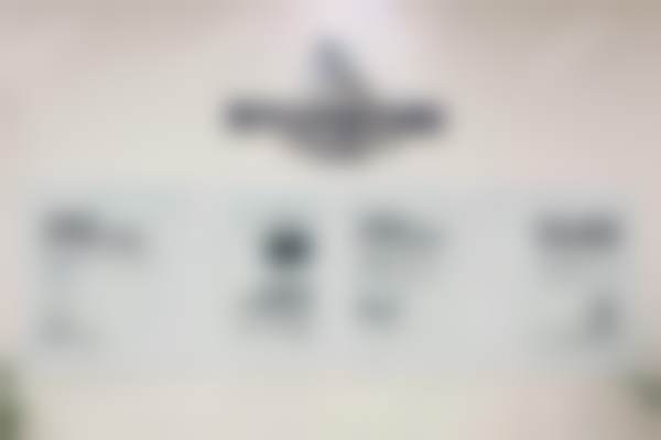 孙诚擅长项目列表